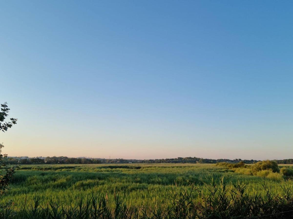 Gites De L'Estagnol Villeneuve-les-Maguelonne Ngoại thất bức ảnh