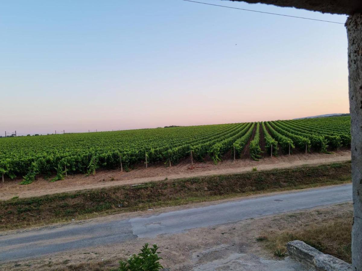 Gites De L'Estagnol Villeneuve-les-Maguelonne Ngoại thất bức ảnh